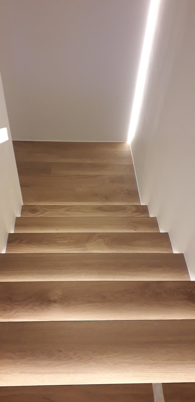 Proyecto Vegaparquet