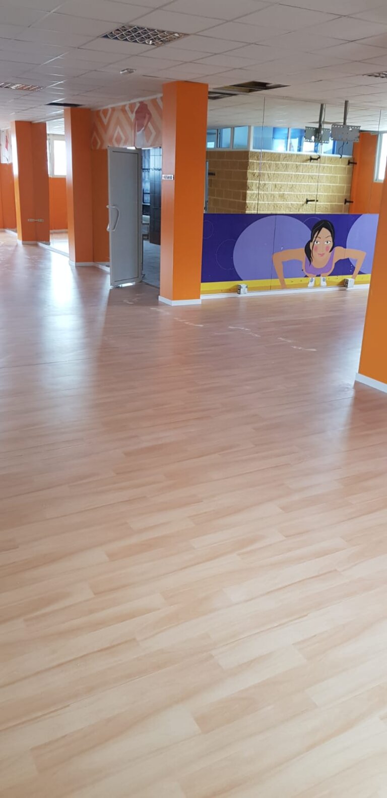 Proyecto Vegaparquet